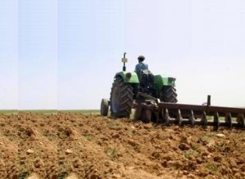 الأمين العام لولاية تبسة يعطي إشارة إنطلاق موسم الحرث والبذر من بلدية الشريعة