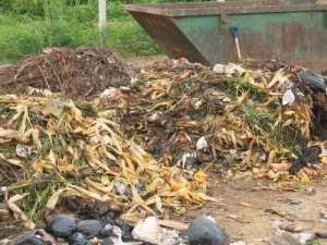 Ghana : la biomasse peut fournir 30% de l’énergie nécessaire