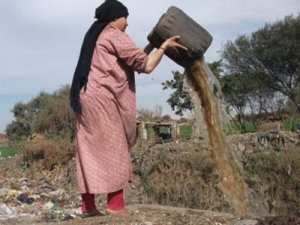 Egypte : 500 millions $ d’économies annuelles possibles grâce à la biomasse