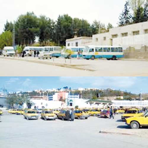 90 %من عمل المفتشين يتمحور حول فك النزاعات بين الناقلين بتيارت