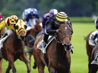 L'ECURIE F. METIDJI EN FORCE Tiaret