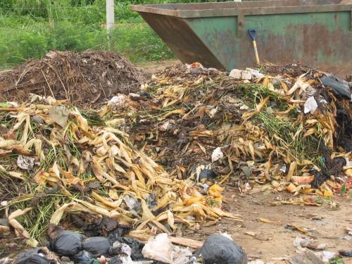 Ghana : la biomasse peut fournir 30% de l’énergie nécessaire