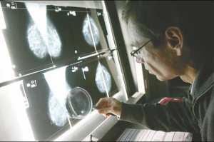 Riche programme d'activités de l'association El-Amel