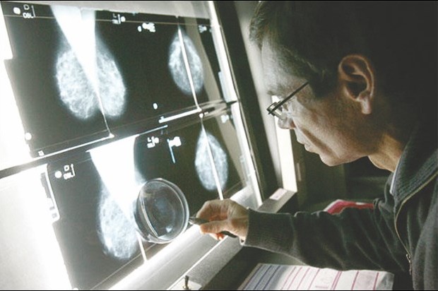 Riche programme d'activités de l'association El-Amel