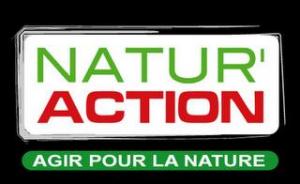 Forêt de Canastel à Oran : Le syndrome du Bois des Pins ?