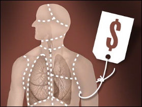 Trafic d'organes humains de l’Algérie vers le Maroc