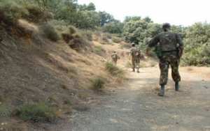 Un terroriste neutralisé par l'ANP dans la région de Tipaza