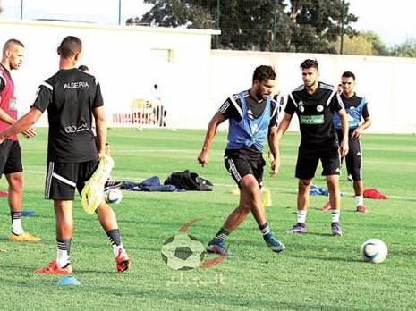 Les Verts renouent avec l'ambiance du 5 Juillet