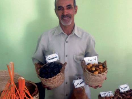 Phoeniciculture à Biskra