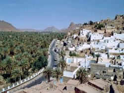 PROJETS D’AMELIORATION DU CADRE DE VIE A DJANET