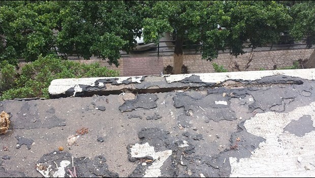 Vu à El-Harrach (Alger)