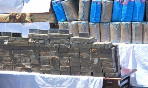 حجز حوالي 8 قناطير من الكيف المعالج بوهران وتلمسان