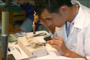 14 annexes d'enseignement ouvertes en milieu rural