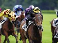 NADJM ESSAHRA SUR UN AIR DE REVANCHE M'sila