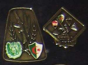 Les vétérans des guerres israelo-arabes enfin consacrés (Ou pas)