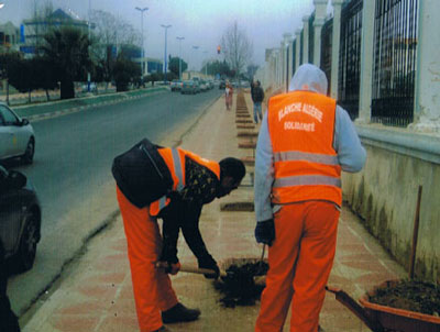تلاعبات بمشروع الجزائر البيضاء بتيارت