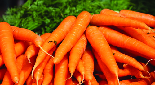 Jetée à M'sila, la carotte à 100 DA à Alger