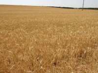 Des progrès et des lacunes