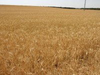 Des progrès et des lacunes