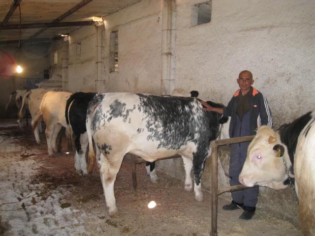 Journée sur la sécurité alimentaire et les produits de l'élevage