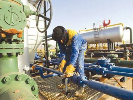 L'avenir gazier de l'Algérie s'assombrit