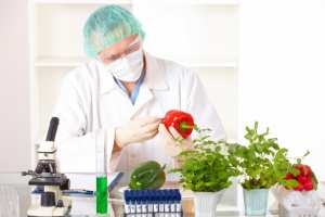 أهم 10 أبحاث واكتشافات غذائية