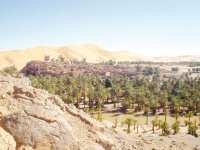 Les projets en cours de réalisation à Bechar encore insuffisants