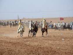 TLEMCEN : LA WAADA DE SIDI ABDALLAH CELEBREE