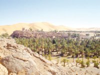 Les projets en cours de réalisation à Bechar encore insuffisants