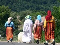 L'Algérie à l'origine de la célébration
