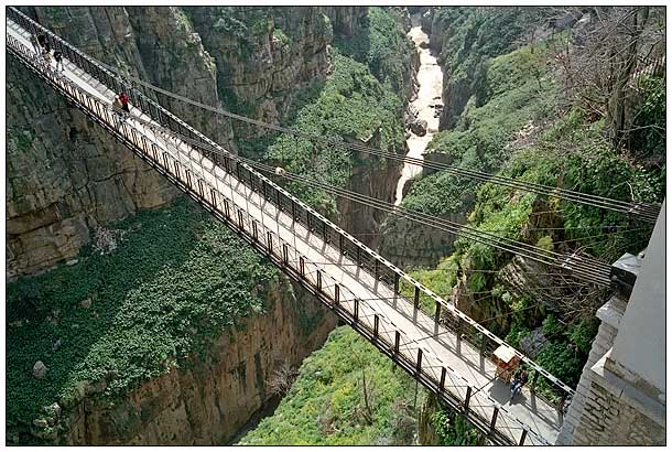 قسنطينة الجزائرية تطلق أضخم عملية ترميم لجسورها