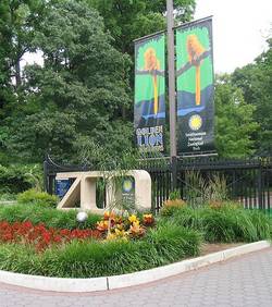 Les animaux du zoo de Washington ont senti l'arrivée du séisme