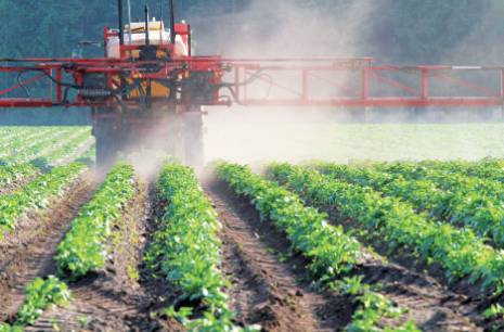 Les pesticides menacent la santé publique