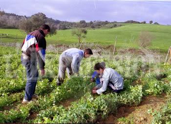 Y a-t-il un avenir en milieu rural'