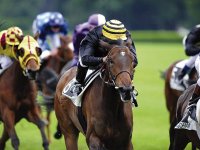 ARDOUGAN, UNE BELLE CARTE M'SILA