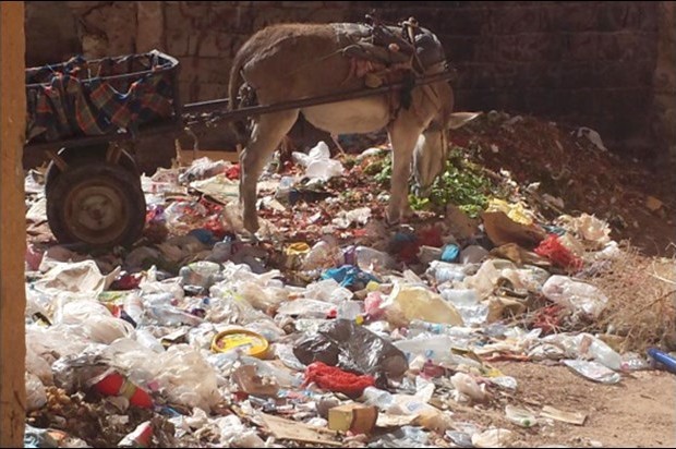 Des citoyens comptent lancer une campagne 