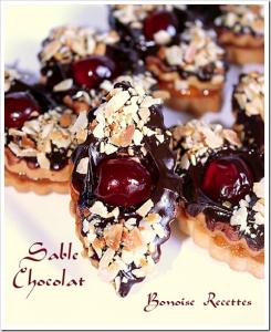 Biscuits secs au chocolat