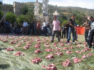 Lemroudj, Louziaa 2011