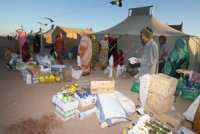 Les agences humanitaires entament leurs actions en faveur des réfugiés sahraouis