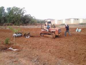 من أجل تفعيل دور الفلاحة في التنمية المحلية بمعسكر