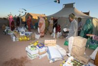 Les agences humanitaires entament leurs actions en faveur des réfugiés sahraouis