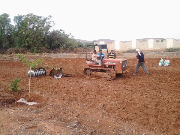 من أجل تفعيل دور الفلاحة في التنمية المحلية بمعسكر