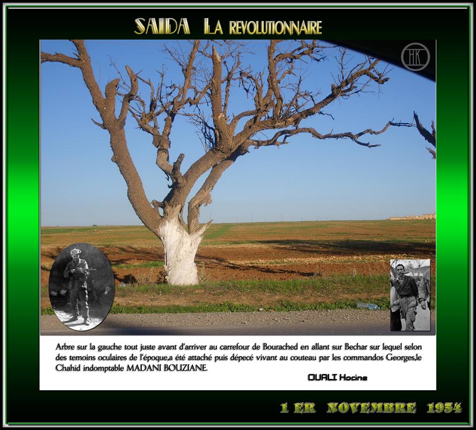 arbre sur la gauche