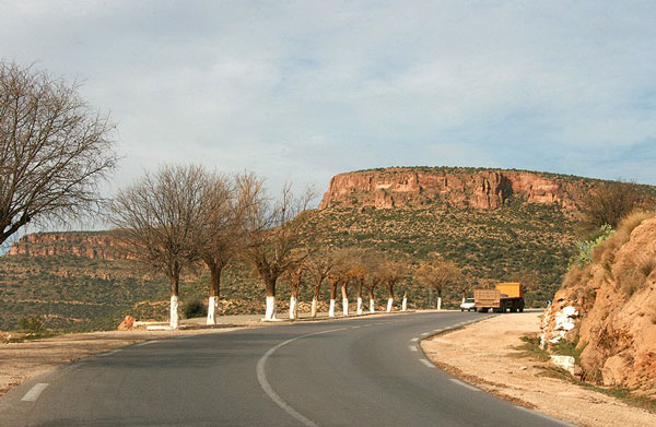 الاستثمار الصناعي بتلمسان على طاولة المجلس التنفيذي