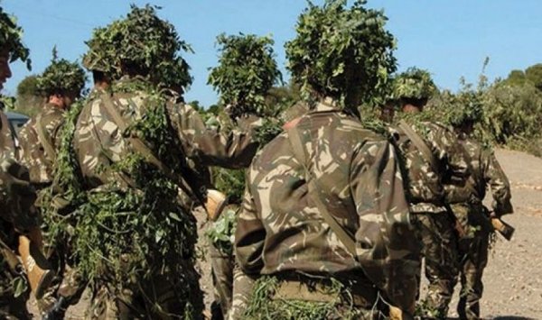 تدمير 5 مخابئ ببرج بوعريريج وقسنطينة تحتوي على مدافع تقليدية الصنع وقنابل