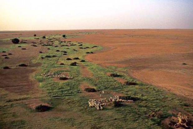 L'Algérie n'a jamais exploité le cadeau du Soudan