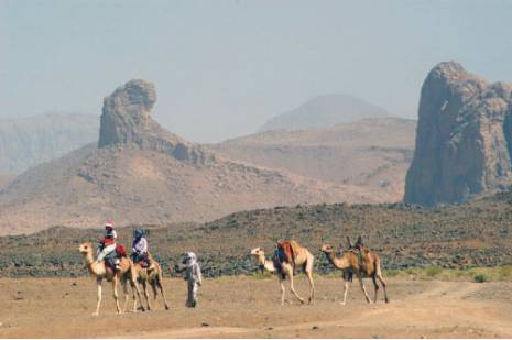 Prochaine rencontre pour booster cette activité