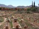 Tiaret - Le cimetière dans un état pitoyable