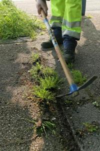 Tébéssa - Volontariat pour le déseherbage du cimetière