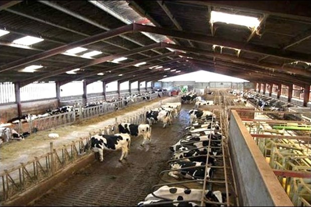 Seules 12 communes bénéficieront de l'orge de consommation